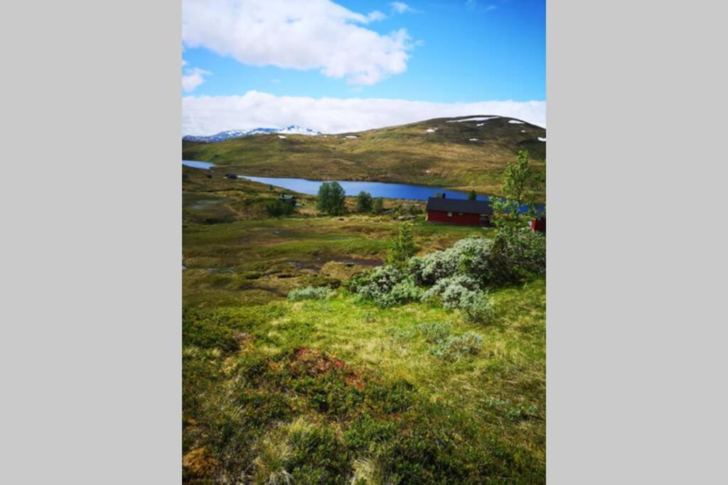 Casa Kleiv I Sogndalsdalen Villa Dış mekan fotoğraf